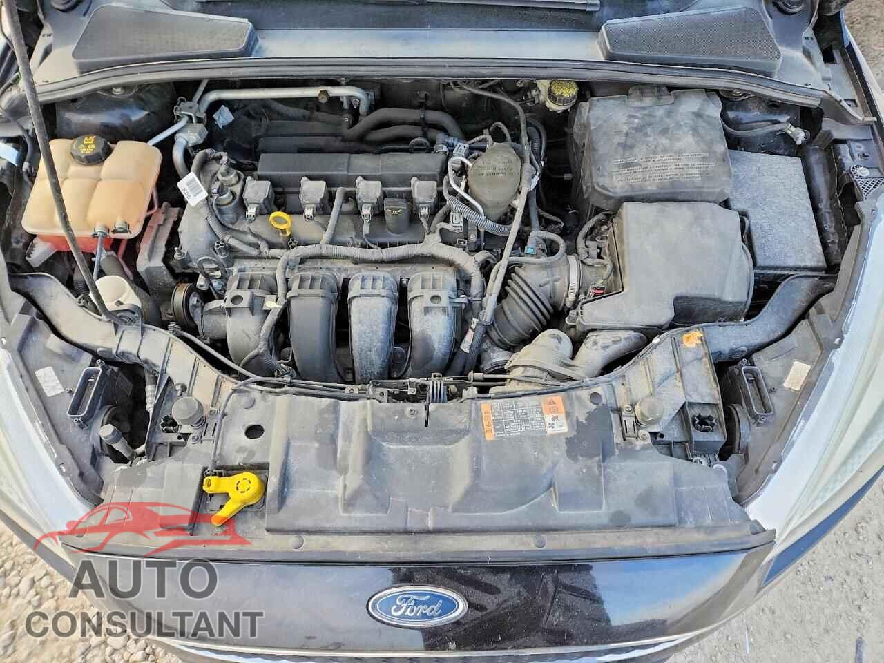 FORD FOCUS 2016 - 1FADP3F20GL277737