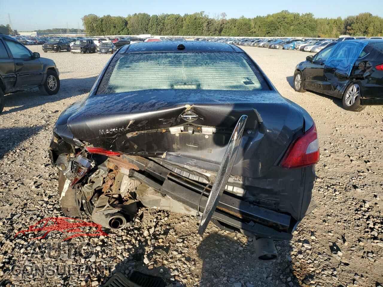 NISSAN MAXIMA 2011 - 1N4AA5AP7BC831223