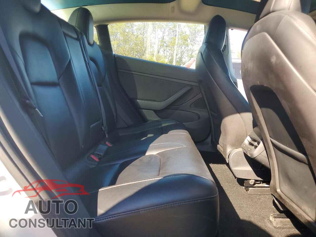 TESLA MODEL 3 2019 - 5YJ3E1EBXKF433246
