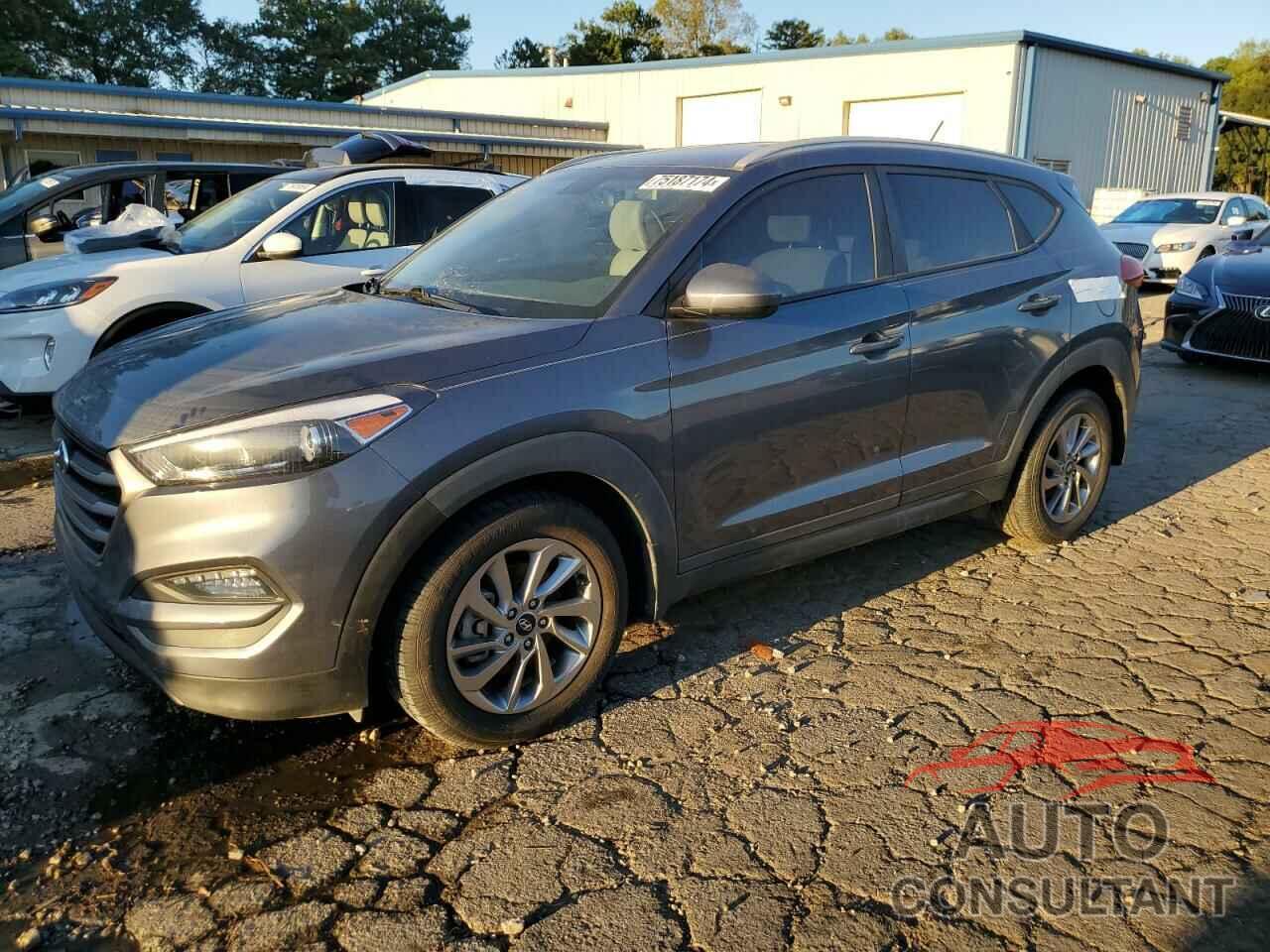 HYUNDAI TUCSON 2016 - KM8J33A49GU160438