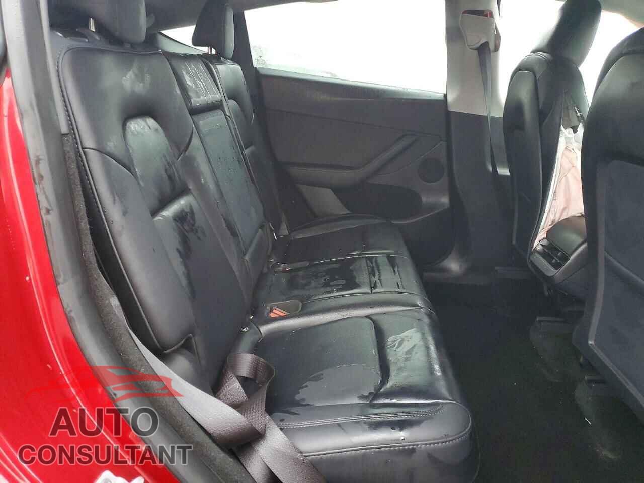 TESLA MODEL Y 2024 - 7SAYGDEF3RF066630