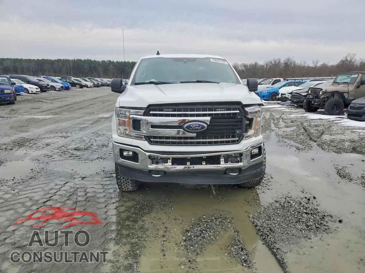 FORD F-150 2019 - 1FTFW1E52KFD34534