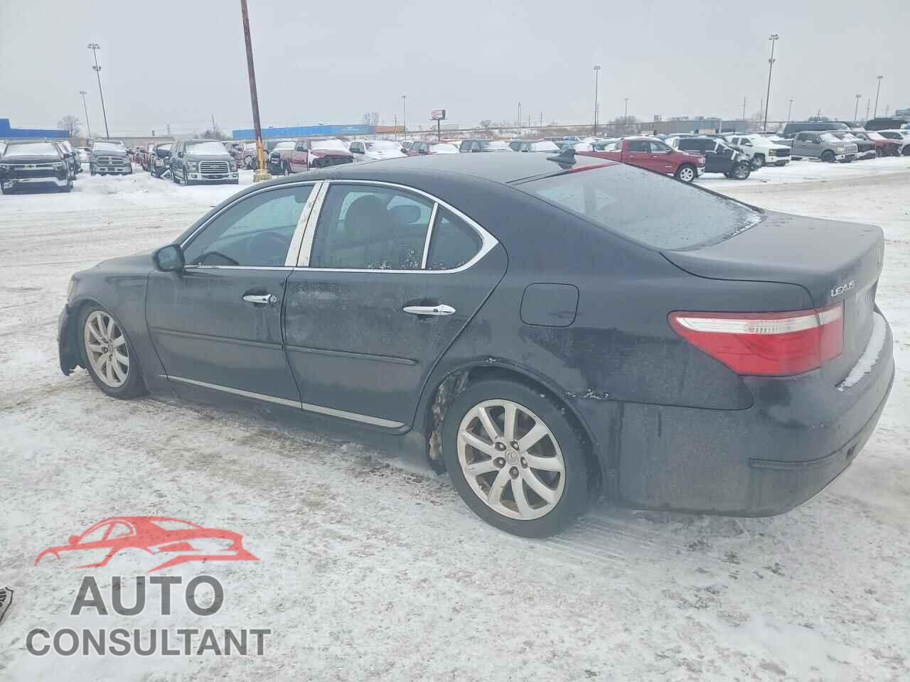 LEXUS LS460 2009 - JTHCL46F995003999