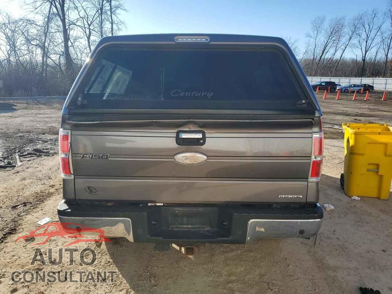 FORD F-150 2011 - 1FTFX1EF9BFB30769