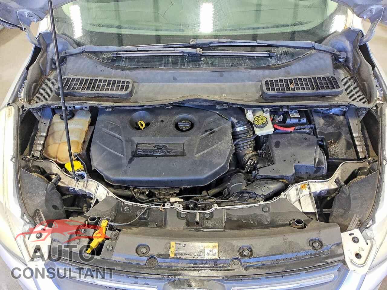 FORD ESCAPE 2014 - 1FMCU0G99EUA78441