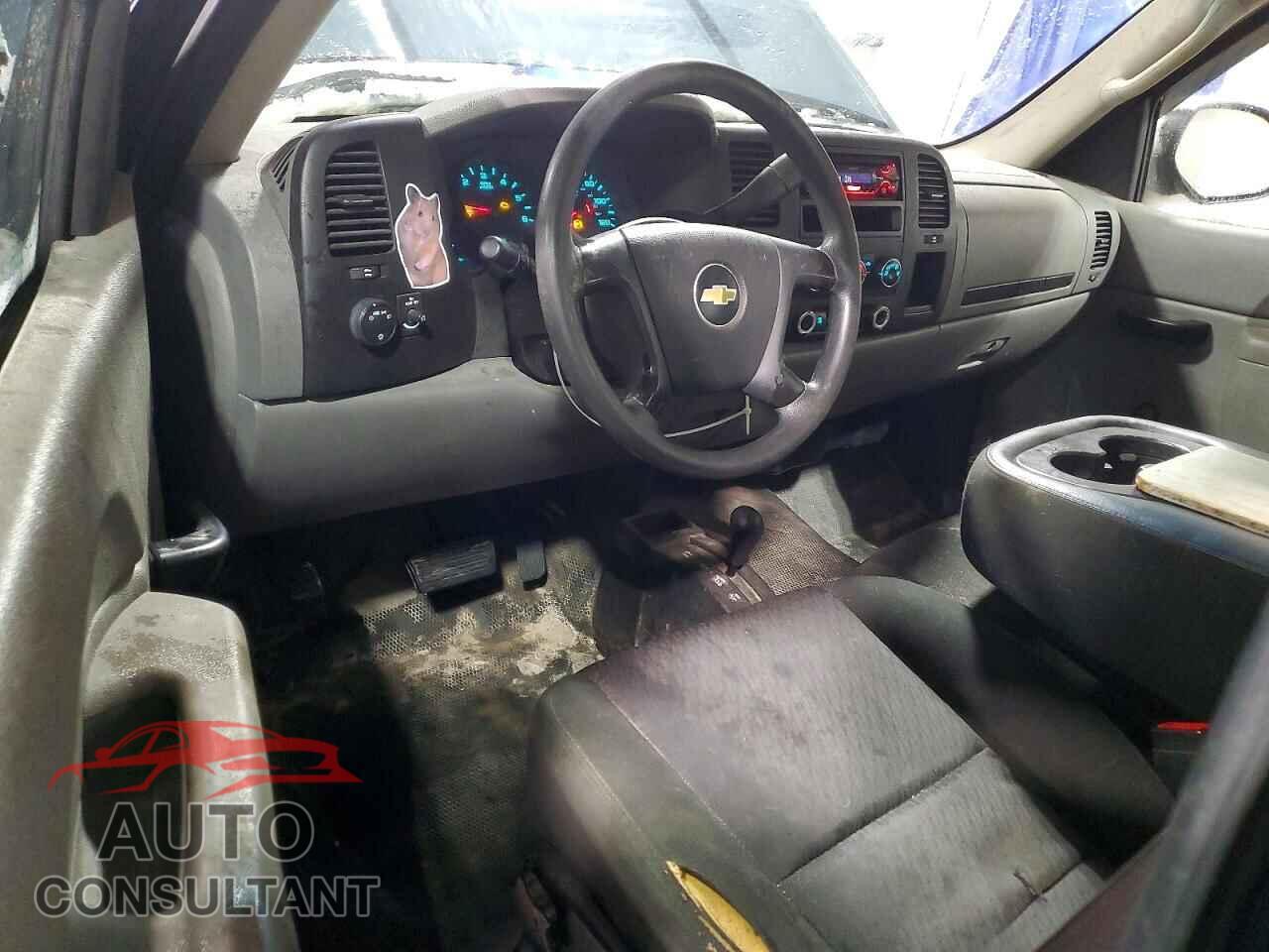 CHEVROLET SILVERADO 2011 - 1GCNKPEX4BZ360997