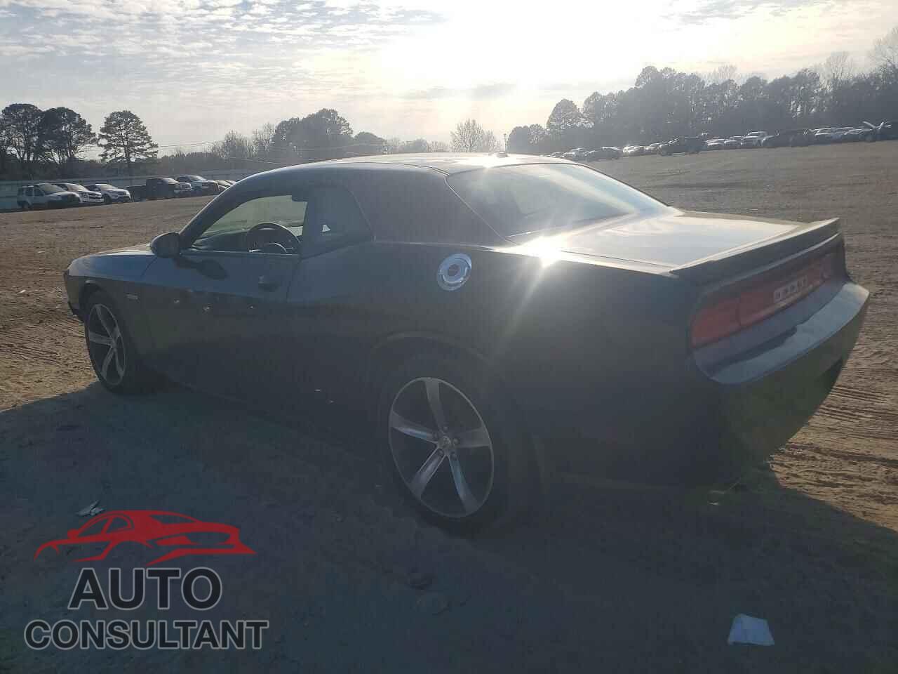 DODGE CHALLENGER 2014 - 2C3CDYAG9EH218649