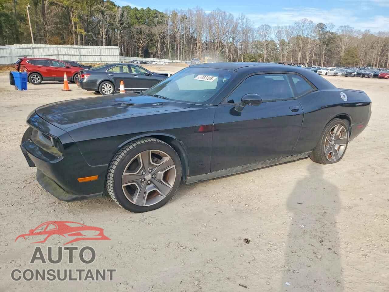 DODGE CHALLENGER 2013 - 2C3CDYBT1DH724910