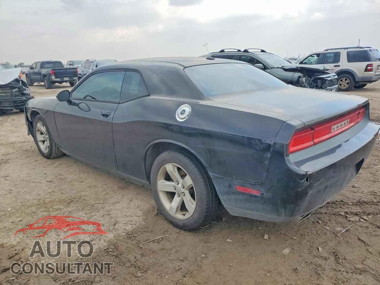 DODGE CHALLENGER 2014 - 2C3CDYAG0EH311530
