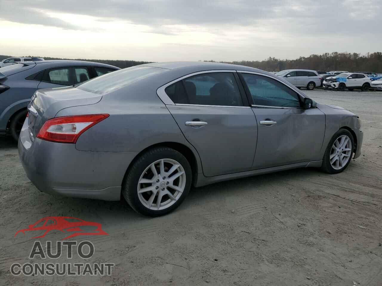 NISSAN MAXIMA 2009 - 1N4AA51E99C824671