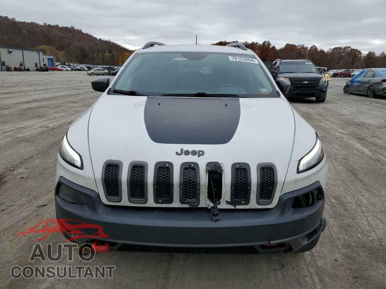 JEEP CHEROKEE 2016 - 1C4PJMBS8GW299696