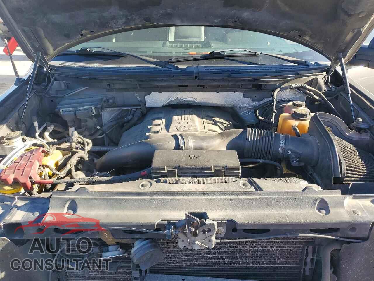 FORD F-150 2011 - 1FTFW1CT9BKD37262