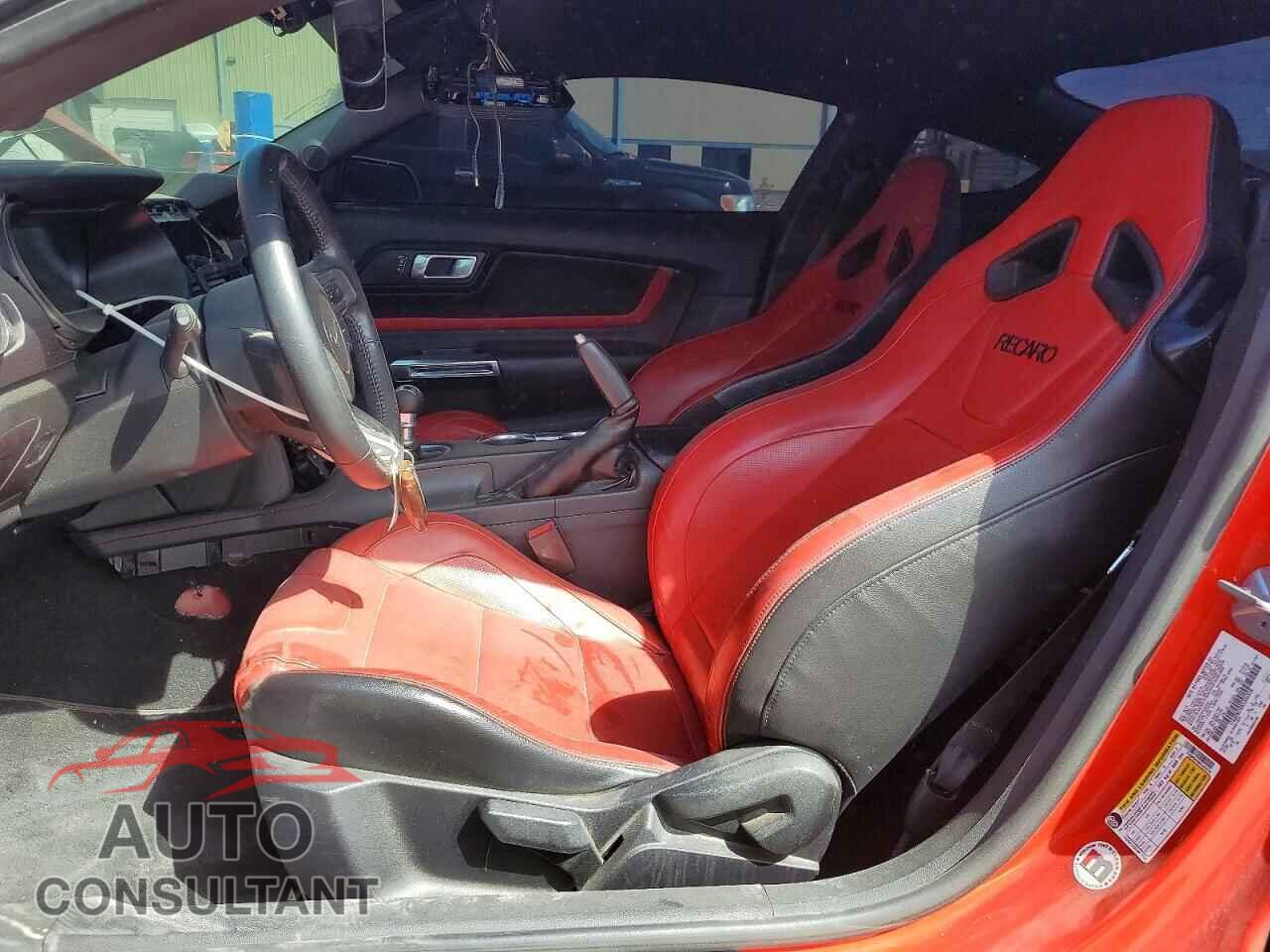 FORD MUSTANG 2019 - 1FA6P8CF8K5204318