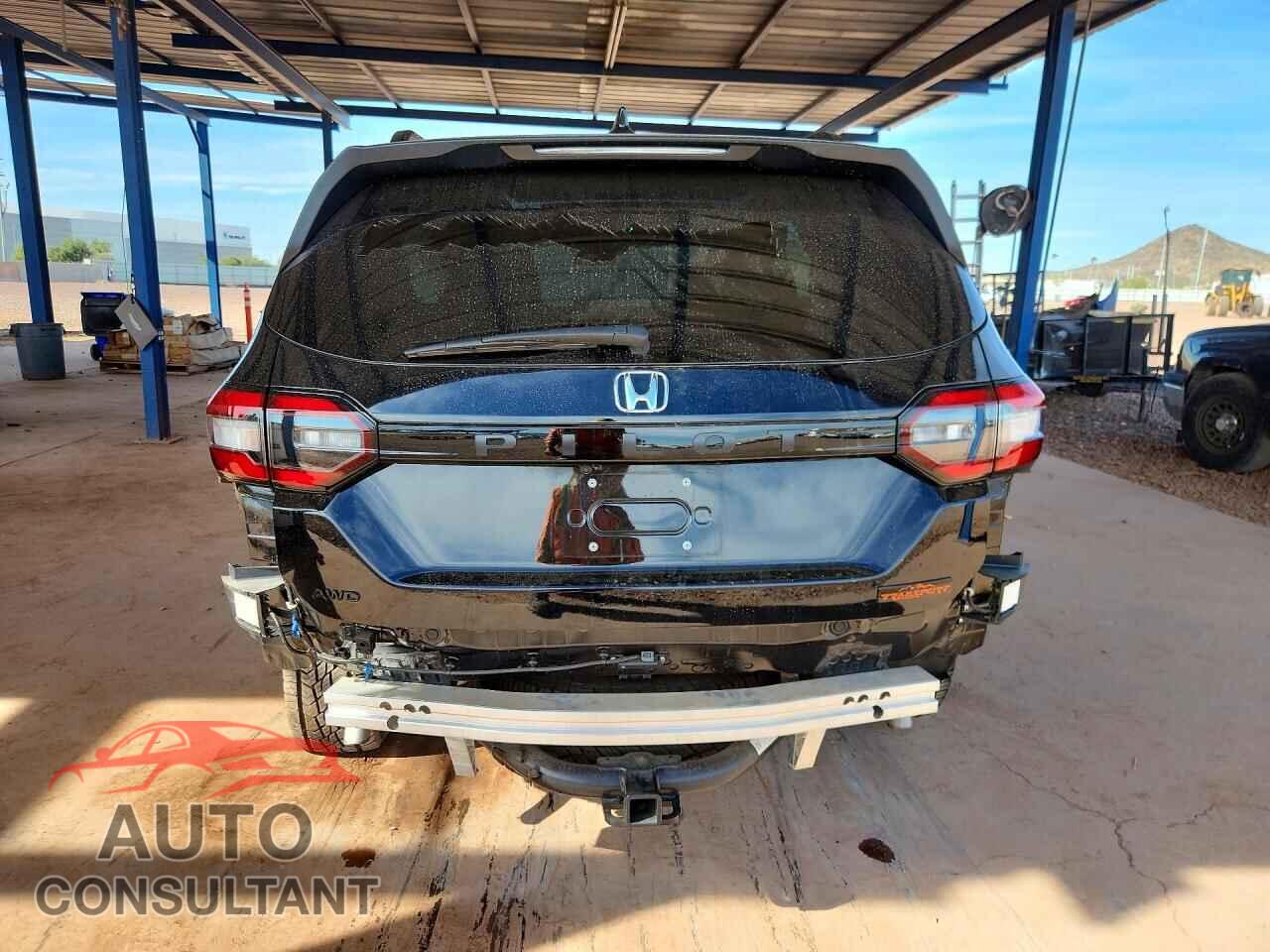 HONDA PILOT 2025 - 5FNYG1H60SB090199
