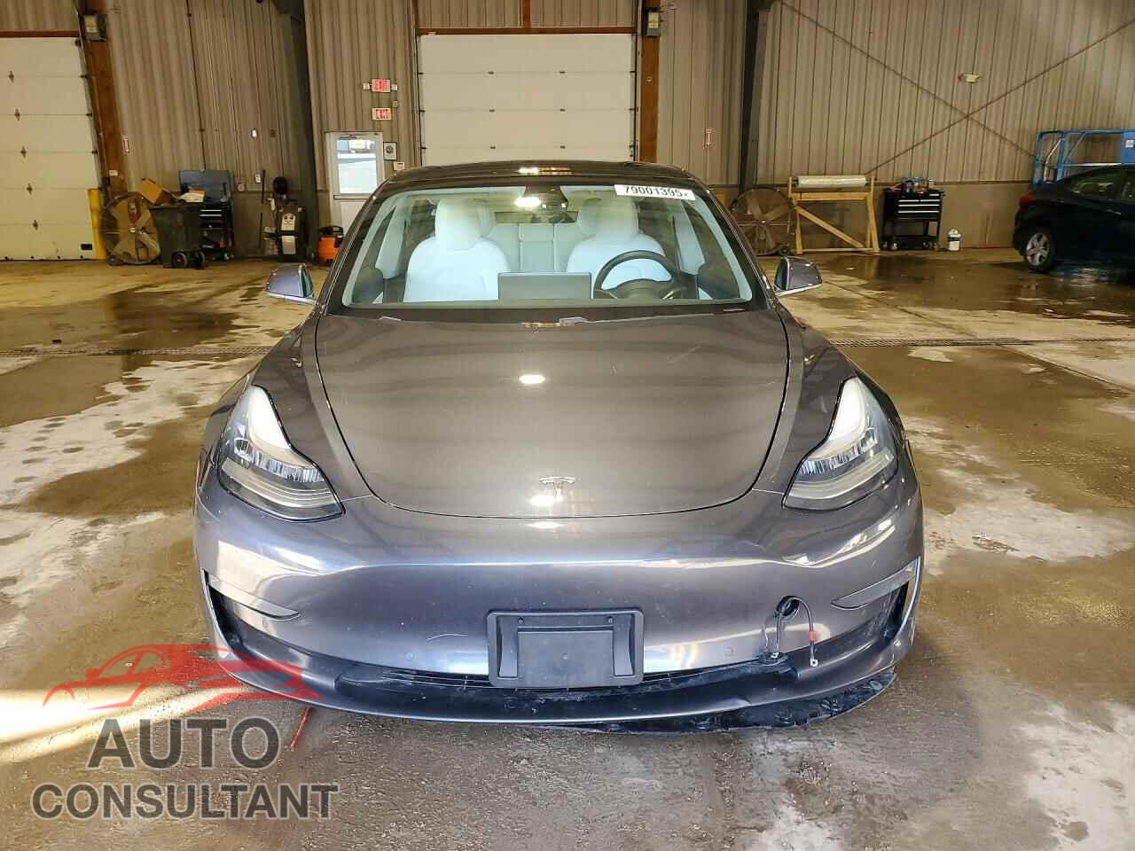 TESLA MODEL 3 2019 - 5YJ3E1EB2KF437792