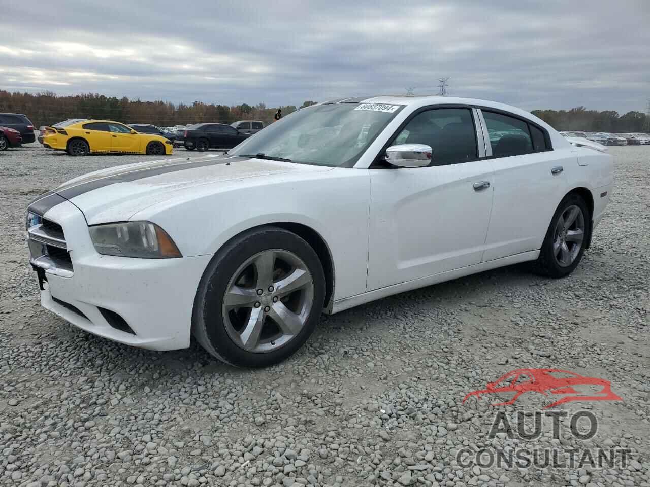 DODGE CHARGER 2013 - 2C3CDXHGXDH629993