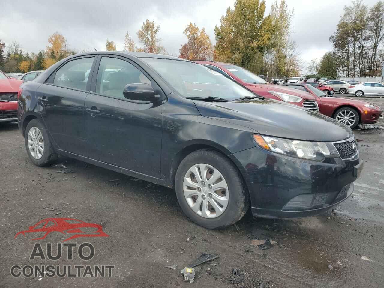 KIA FORTE 2013 - KNAFU4A29D5708193