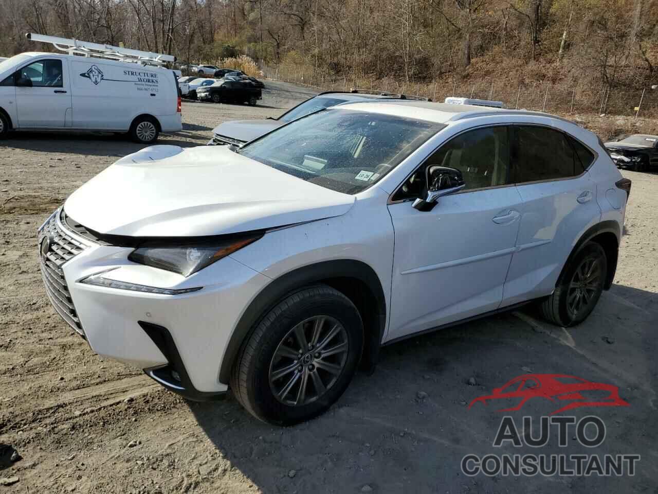 LEXUS NX 2019 - JTJBARBZ8K2204149