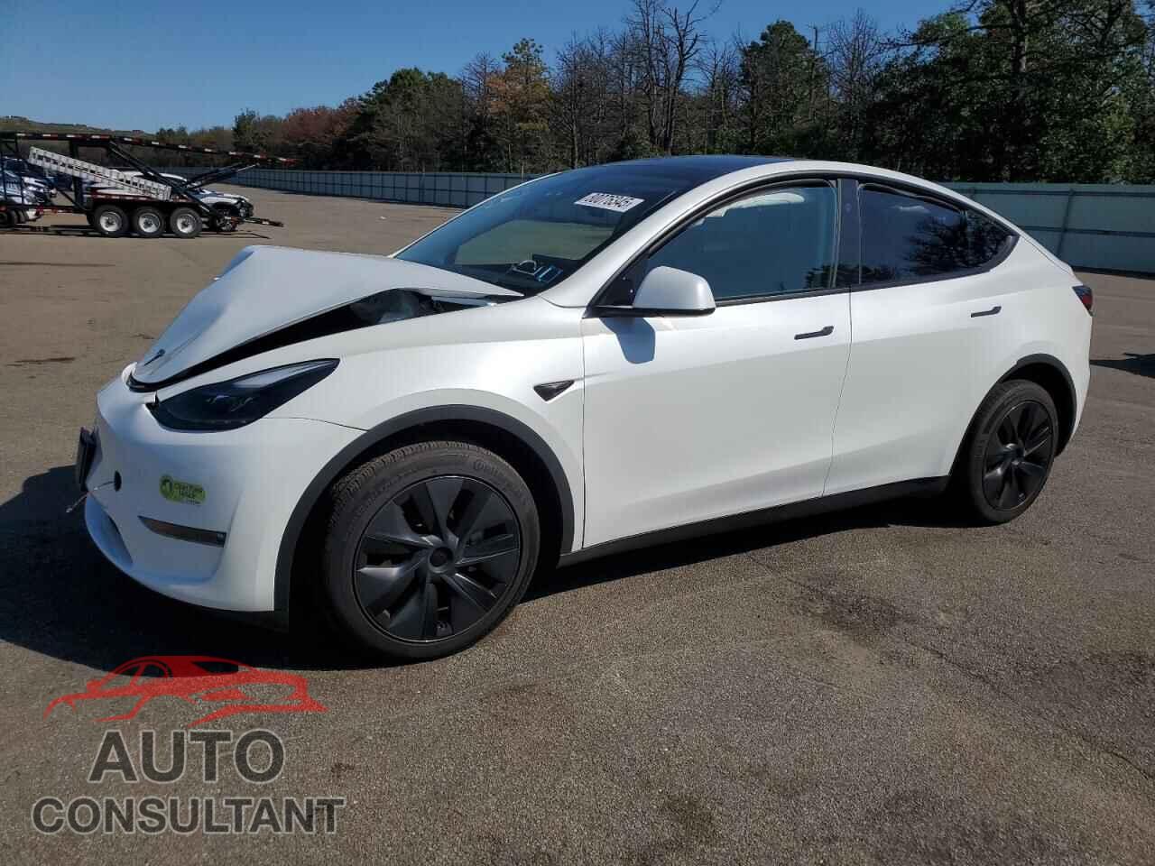 TESLA MODEL Y 2024 - 7SAYGDEE3RF199525