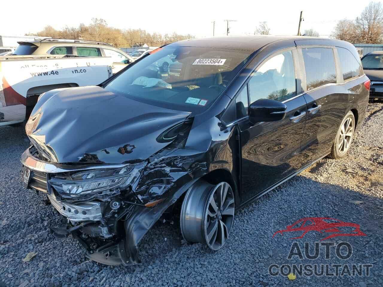 HONDA ODYSSEY 2024 - 5FNRL6H81RB002382