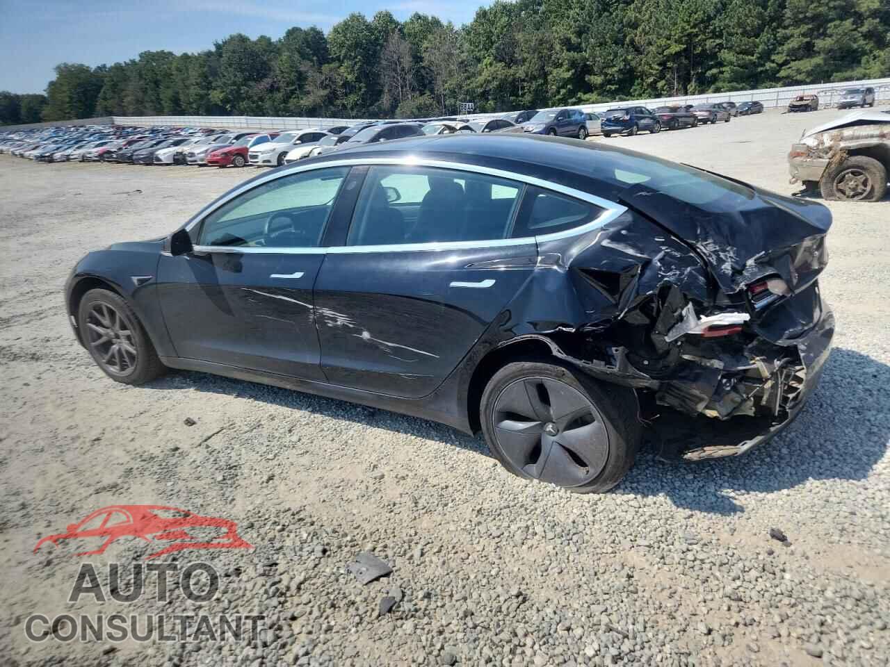 TESLA MODEL 3 2019 - 5YJ3E1EA3KF410771
