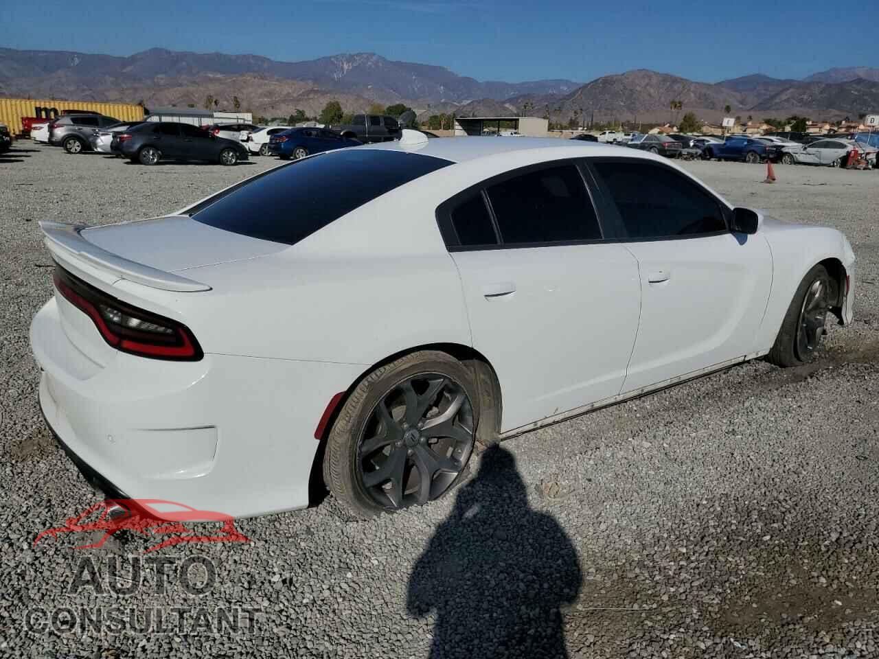 DODGE CHARGER 2019 - 2C3CDXHG2KH736047