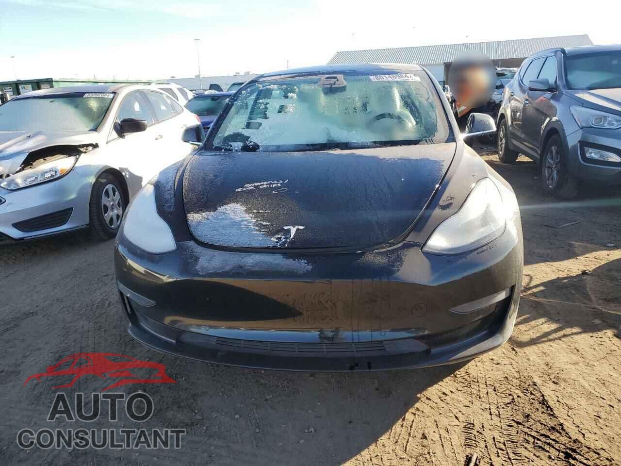 TESLA MODEL 3 2019 - 5YJ3E1EB2KF195683