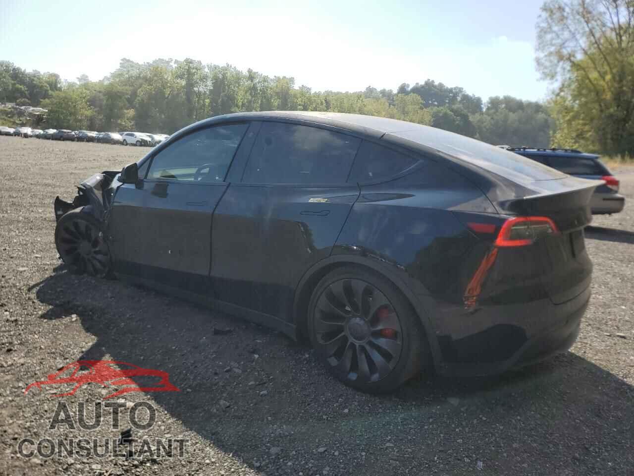 TESLA MODEL Y 2022 - 7SAYGDEF0NF443344