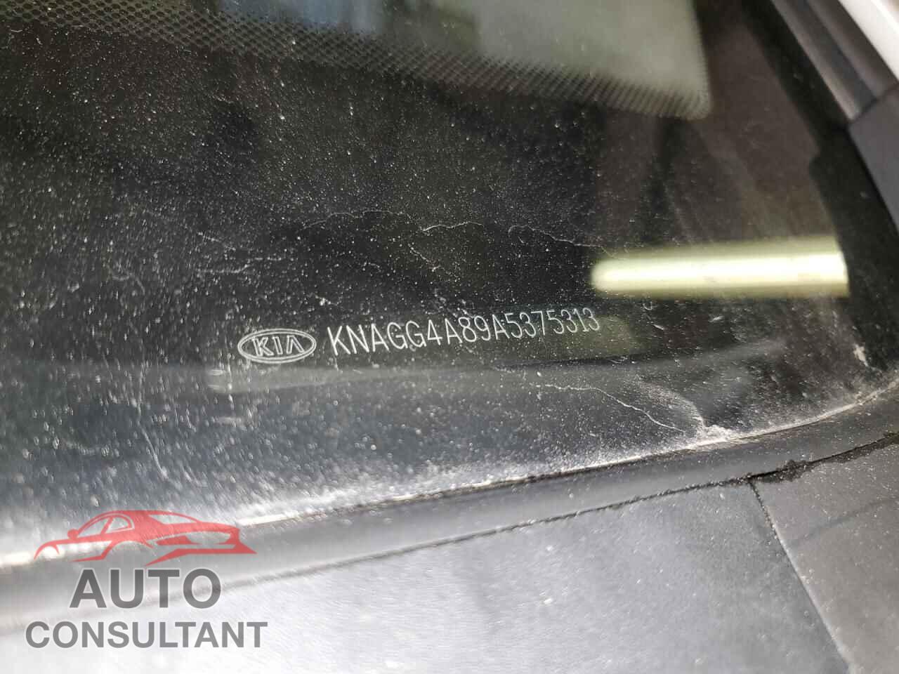 KIA OPTIMA 2010 - KNAGG4A89A5375313