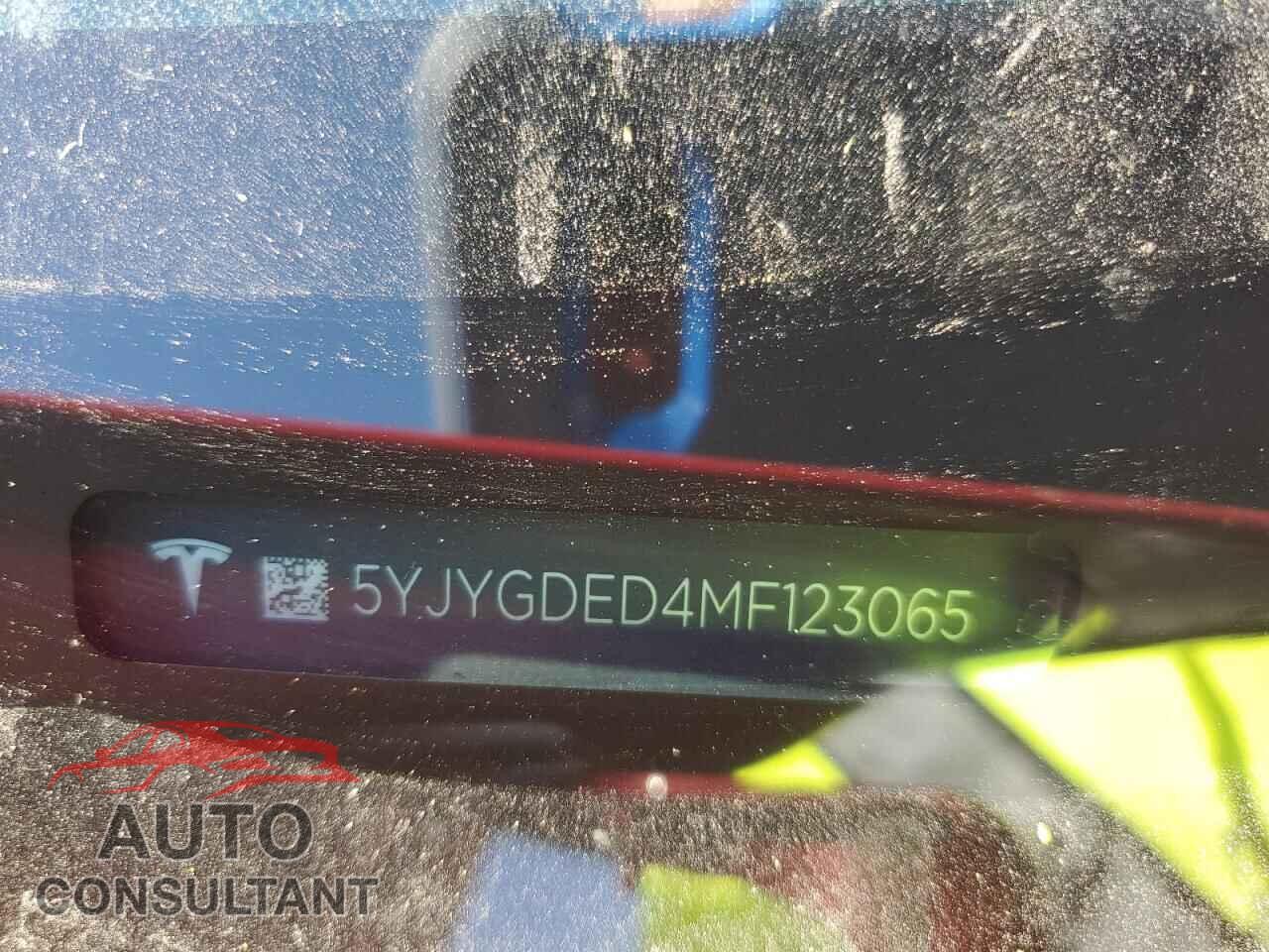 TESLA MODEL Y 2021 - 5YJYGDED4MF123065