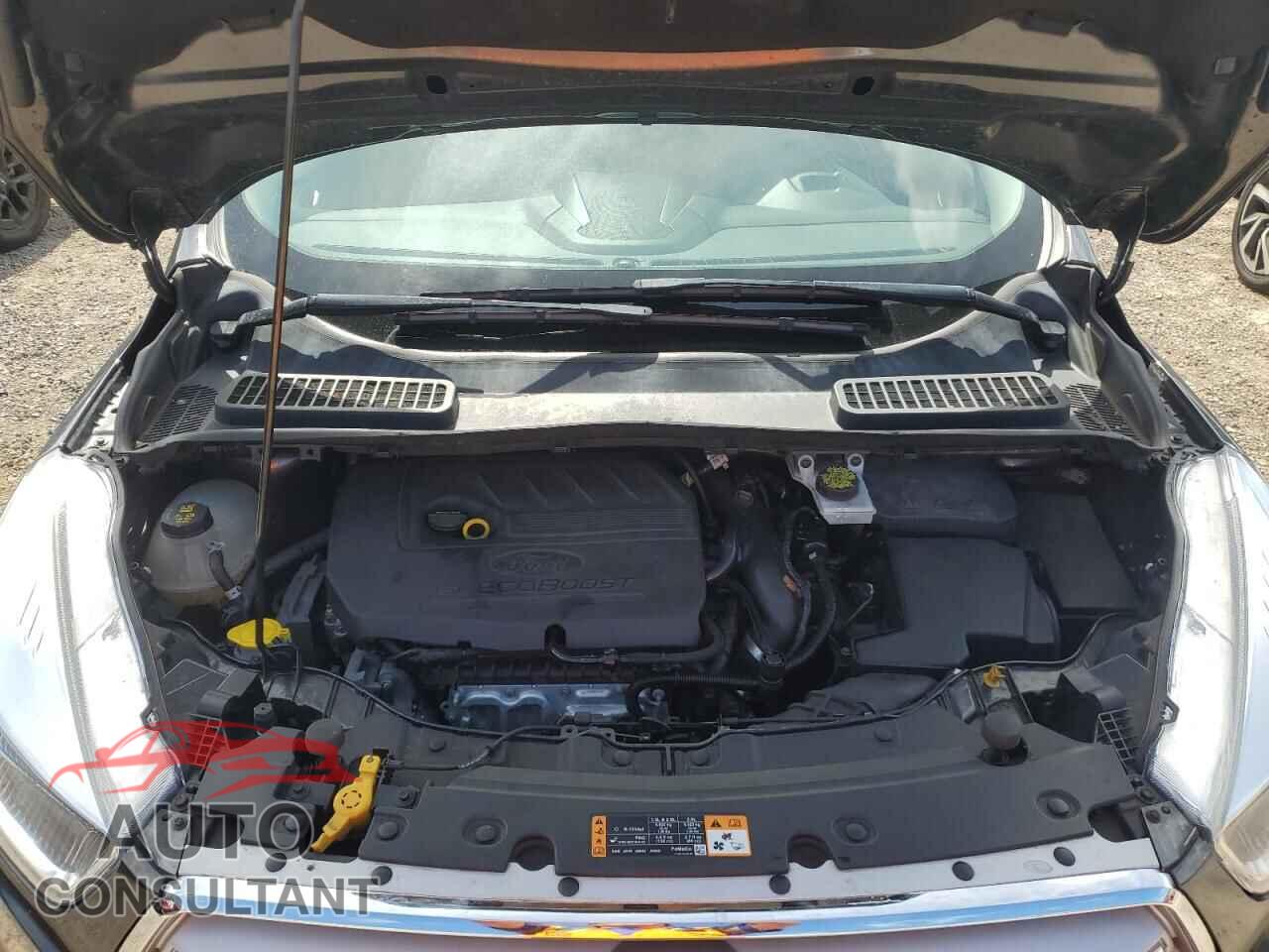 FORD ESCAPE 2018 - 1FMCU0GD6JUC19528