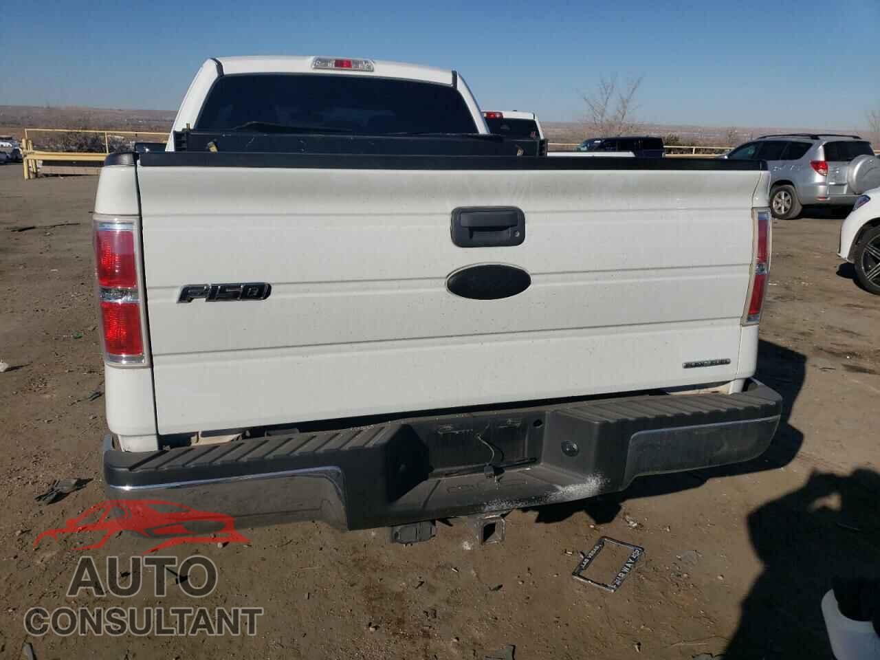 FORD F-150 2011 - 1FTFX1EF5BFB71920