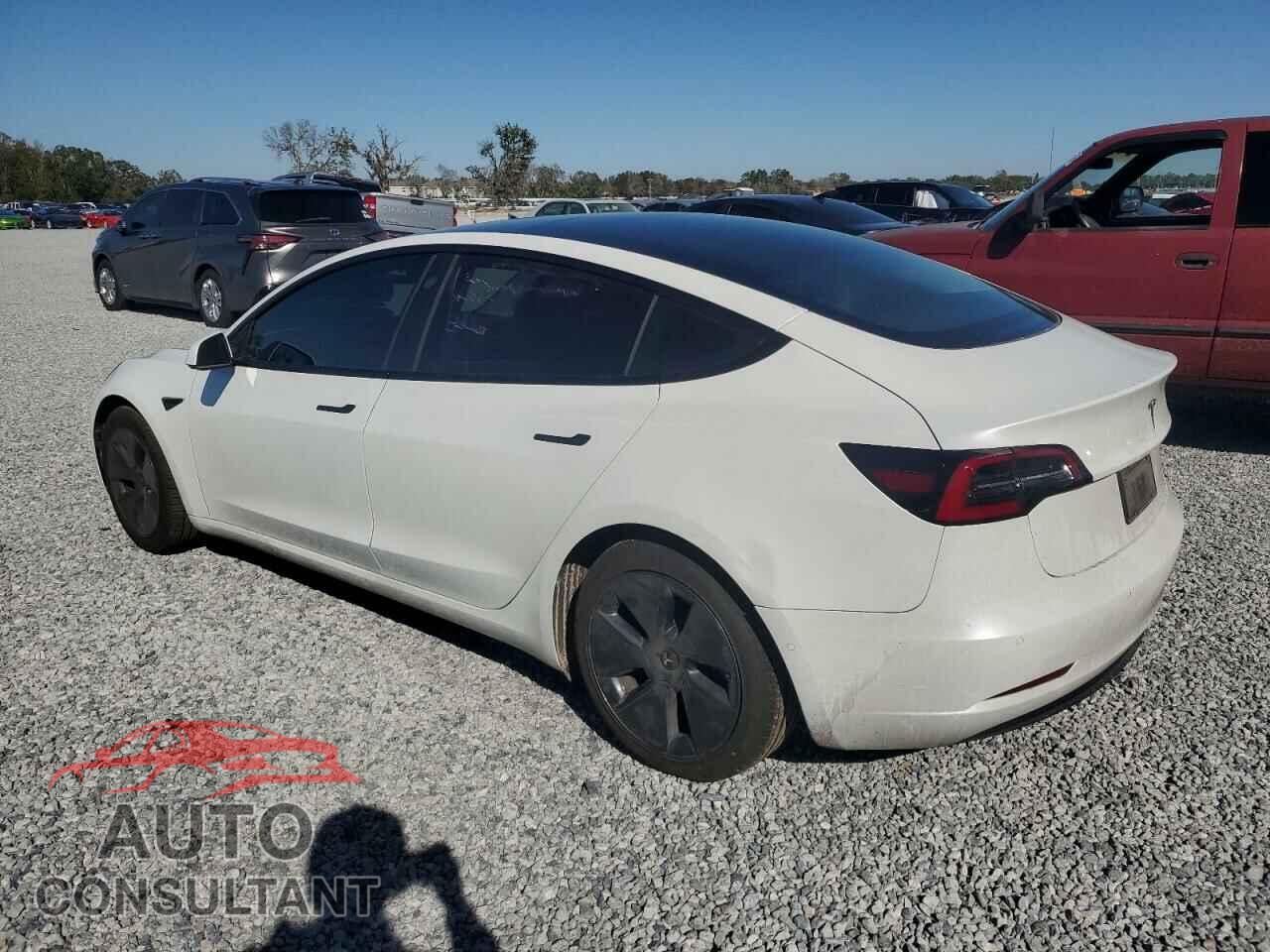 TESLA MODEL 3 2021 - 5YJ3E1EA2MF095724