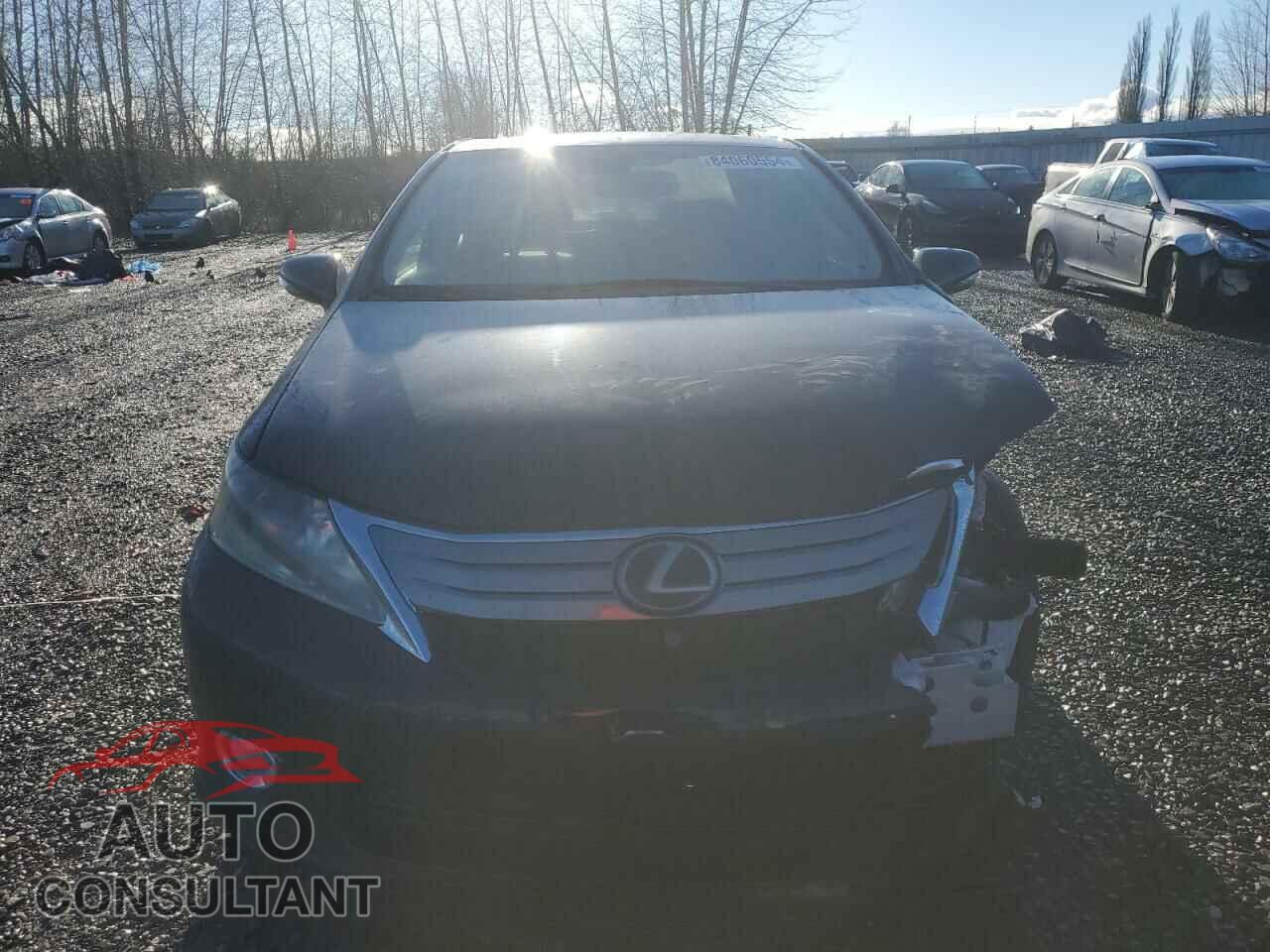 LEXUS HS 2010 - JTHBB1BA2A2006577