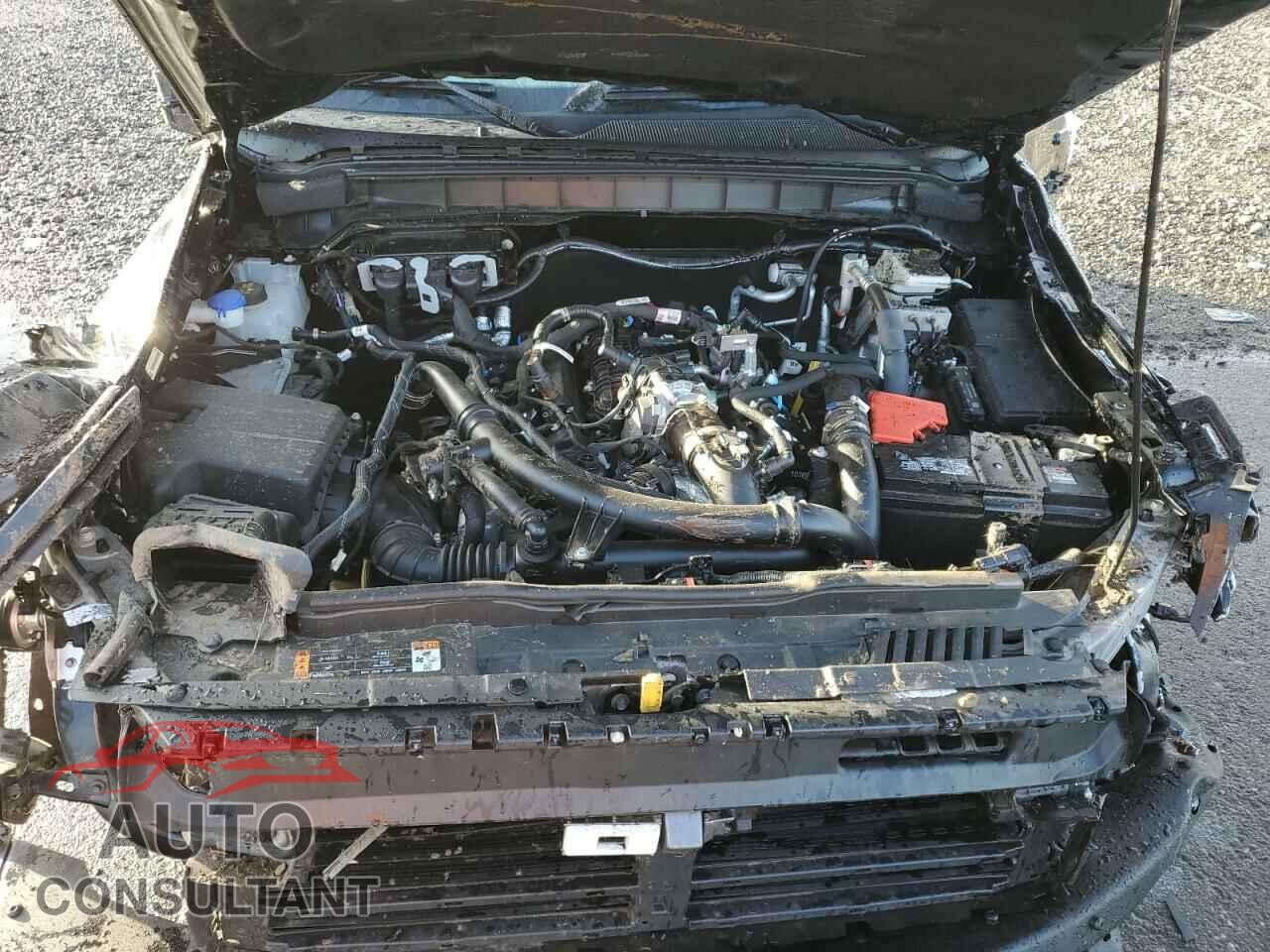 FORD BRONCO 2023 - 1FMEE5DP3PLB46702