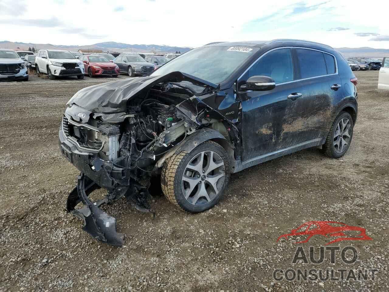 KIA SPORTAGE 2017 - KNDPRCA6XH7147793