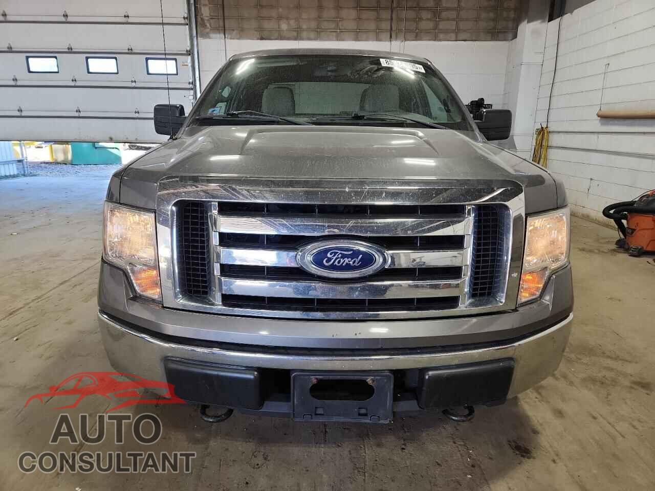 FORD F-150 2010 - 1FTFX1EV8AKE81699