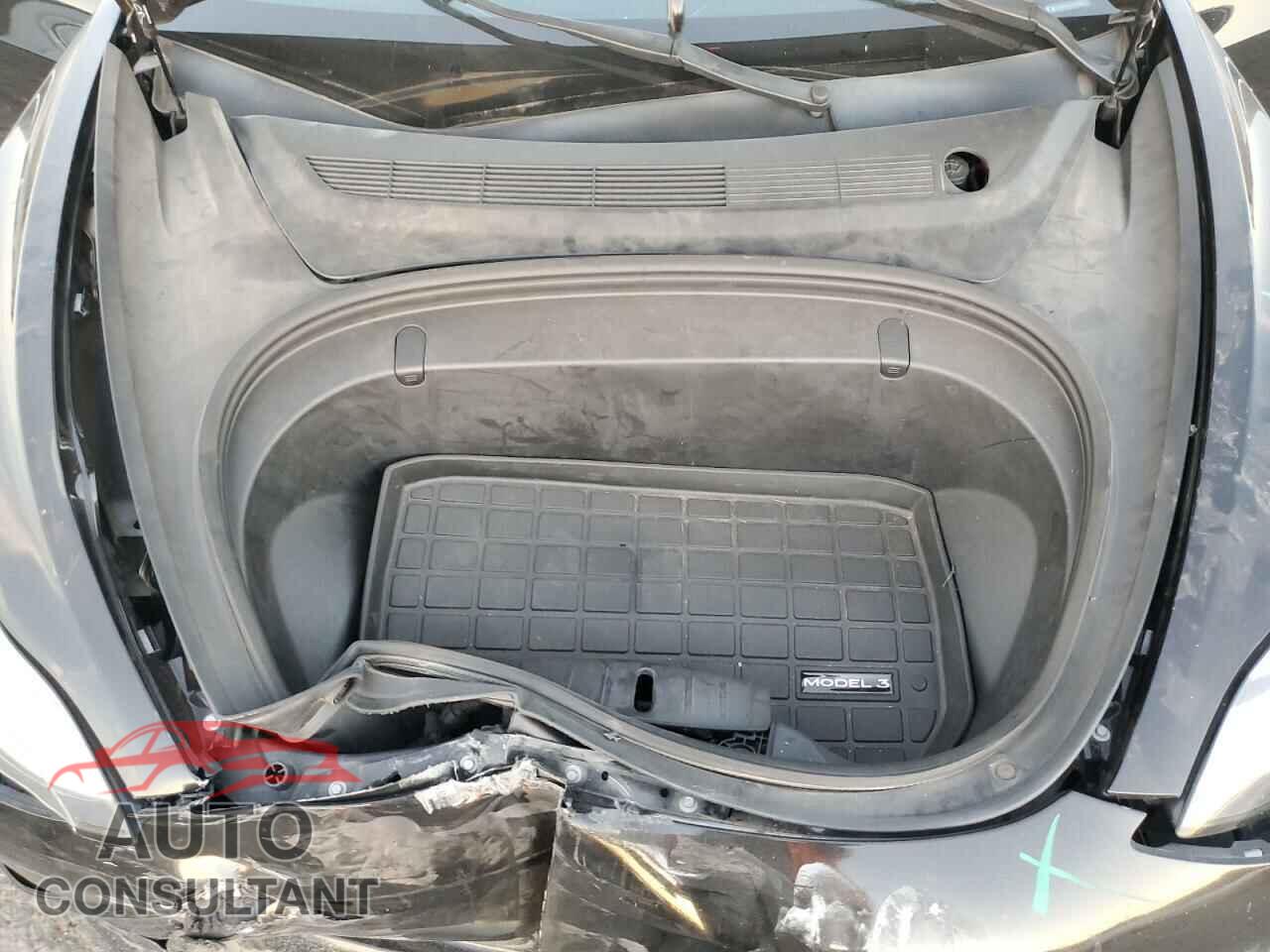 TESLA MODEL 3 2019 - 5YJ3E1EA3KF323825