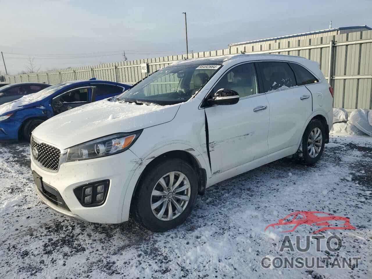 KIA SORENTO 2016 - 5XYPKDA16GG185313