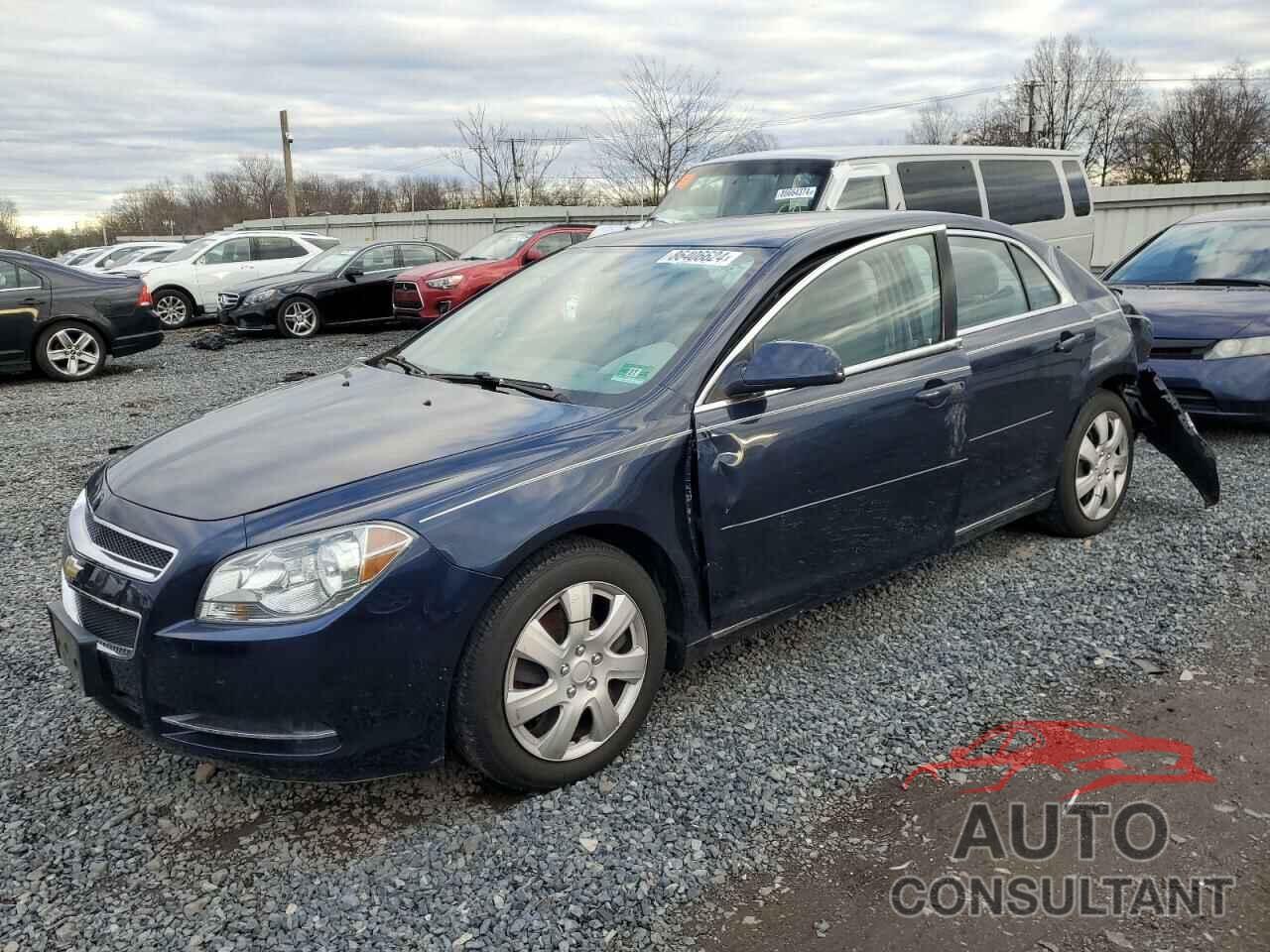 CHEVROLET MALIBU 2011 - 1G1ZC5E11BF156411