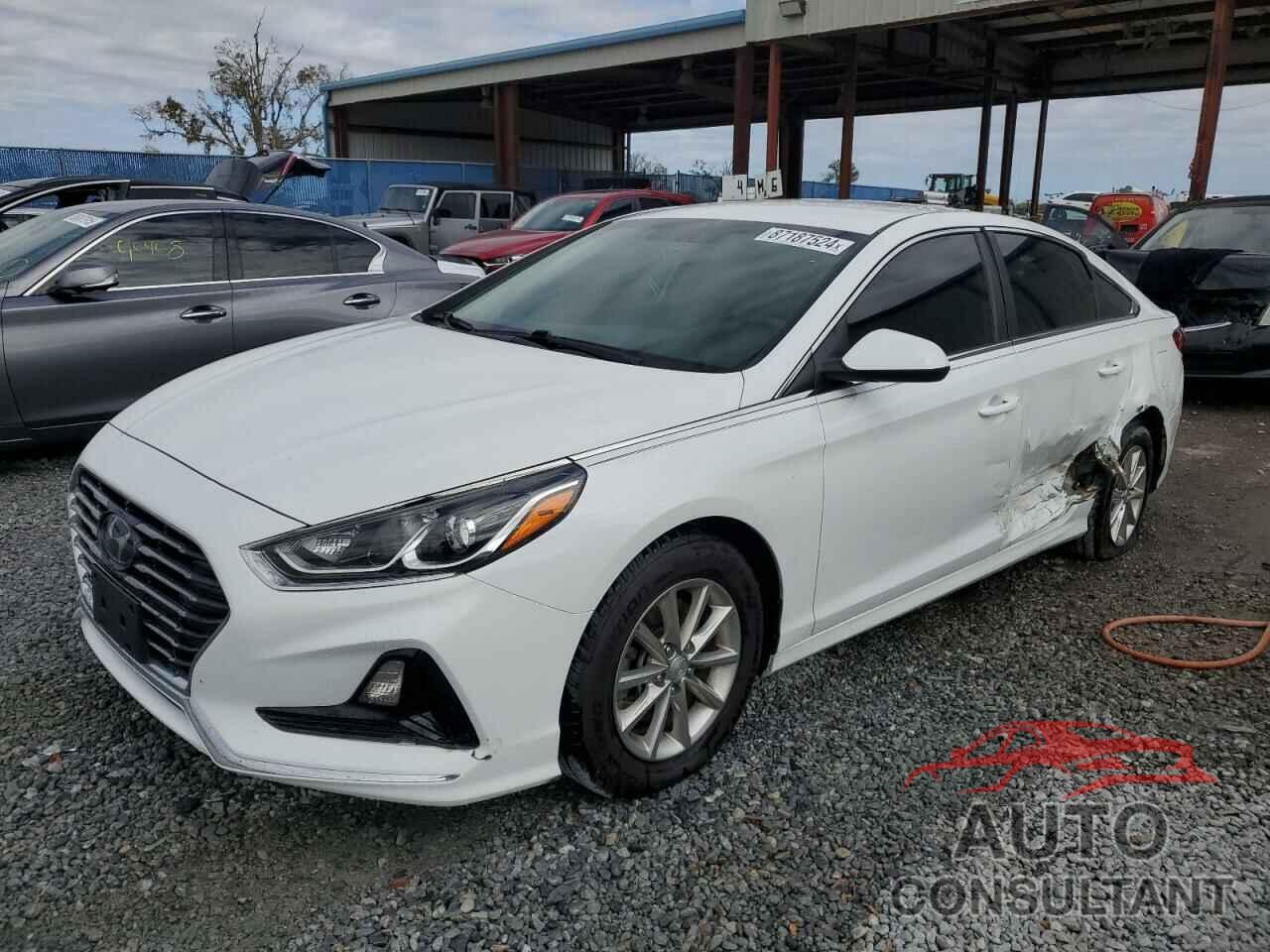 HYUNDAI SONATA 2019 - 5NPE24AF2KH803053