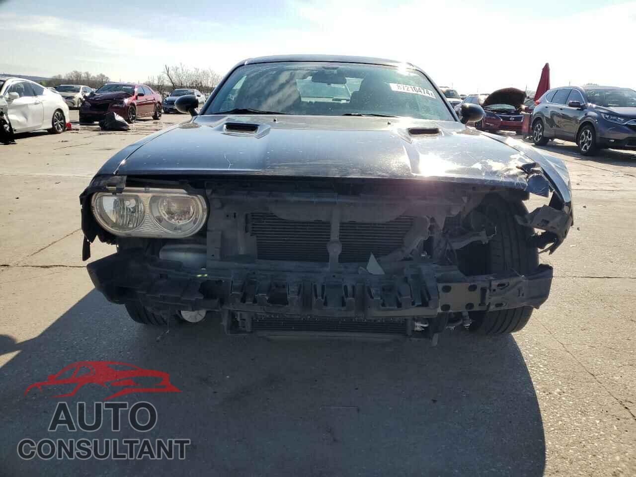 DODGE CHALLENGER 2014 - 2C3CDYAG1EH196548