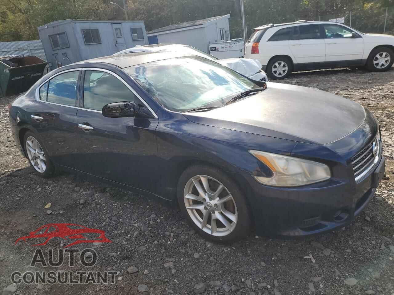 NISSAN MAXIMA 2010 - 1N4AA5AP1AC813895