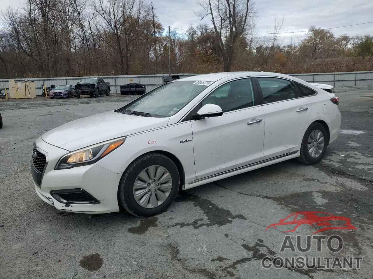 HYUNDAI SONATA 2016 - KMHE24L17GA036862