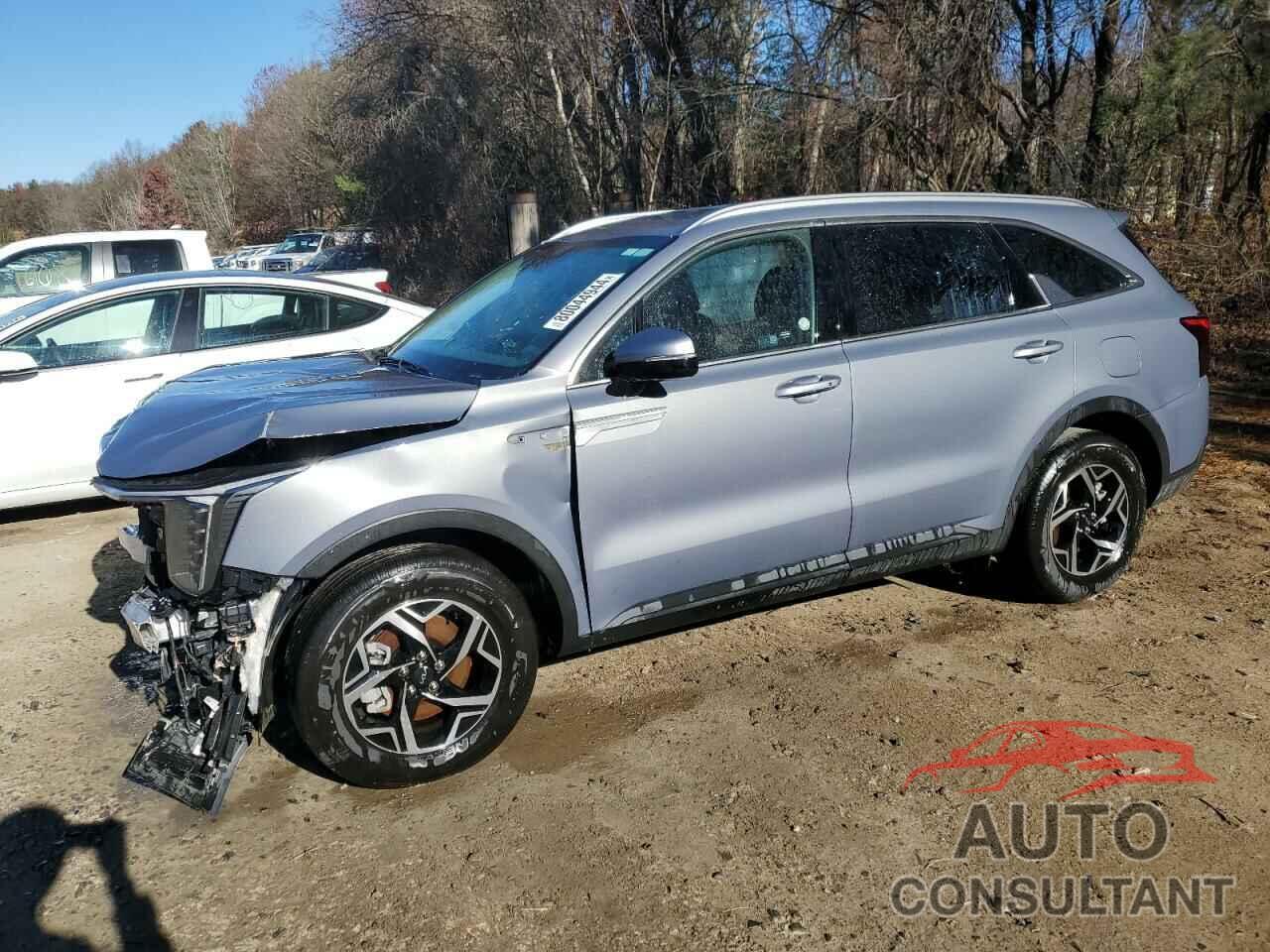 KIA SORENTO 2024 - 5XYRL4JC6RG254141