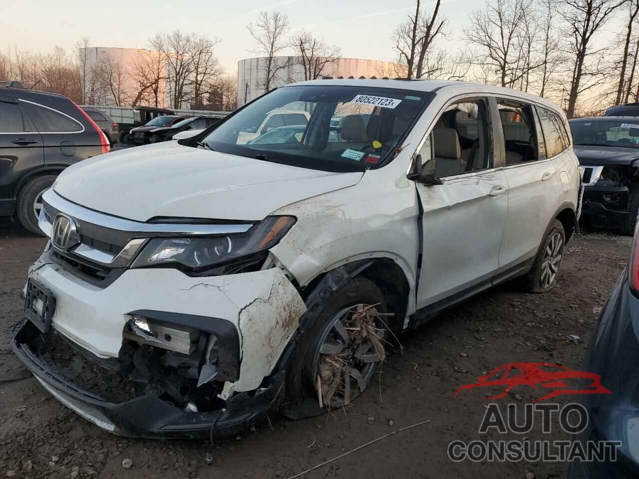 HONDA PILOT 2019 - 5FNYF6H44KB042932