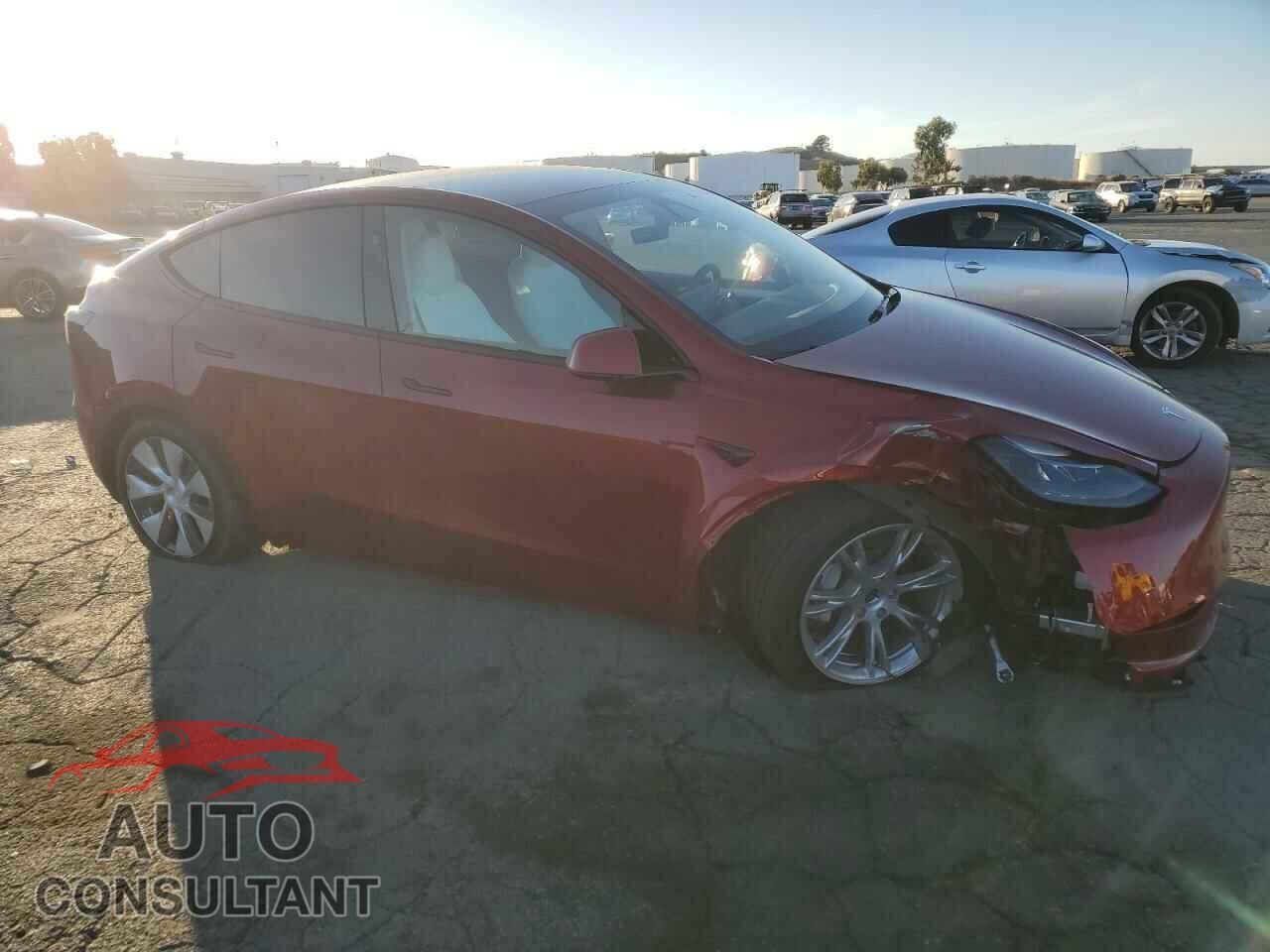 TESLA MODEL Y 2024 - 7SAYGAEE5RF068997