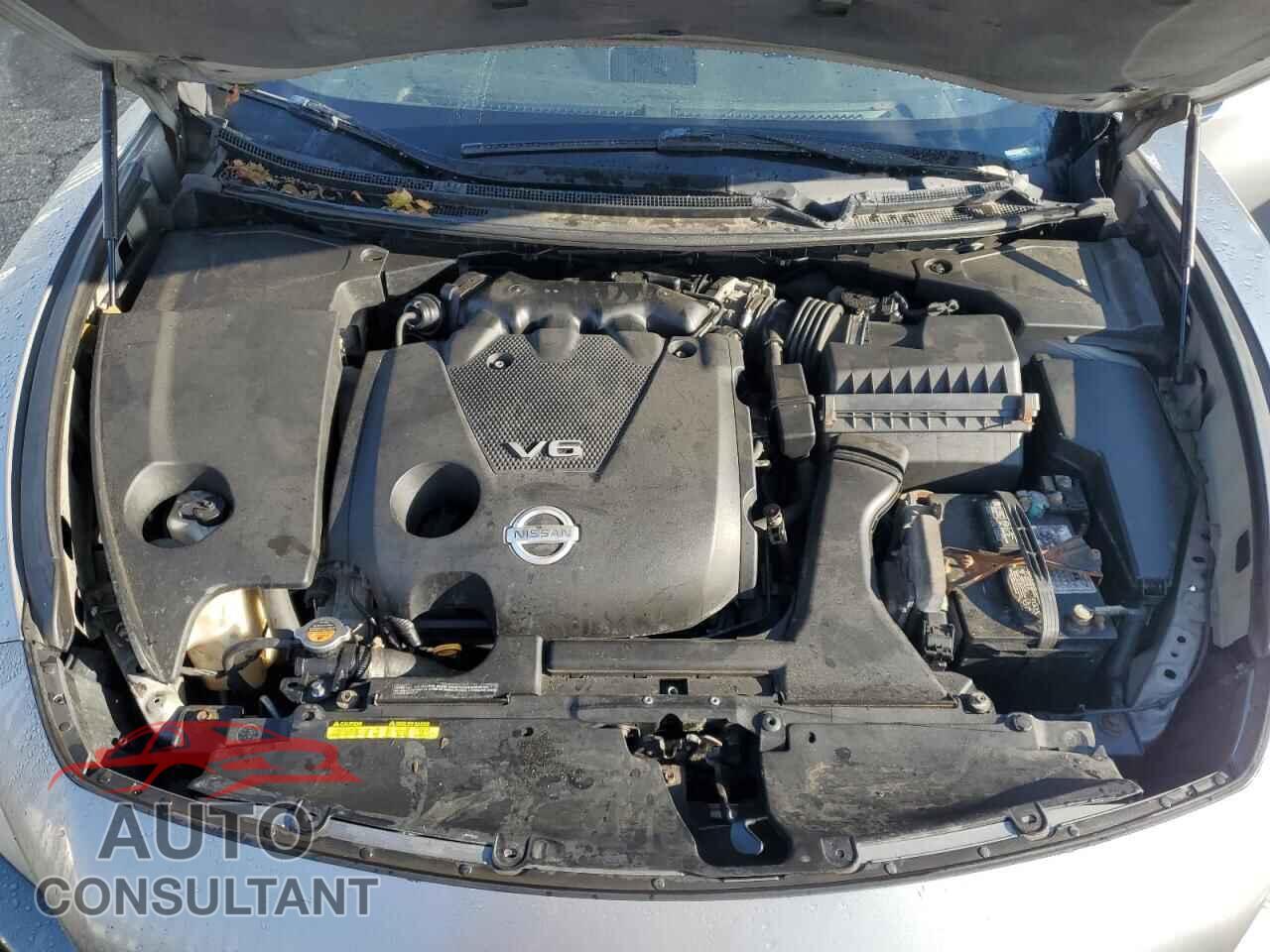 NISSAN MAXIMA 2009 - 1N4AA51E79C856485