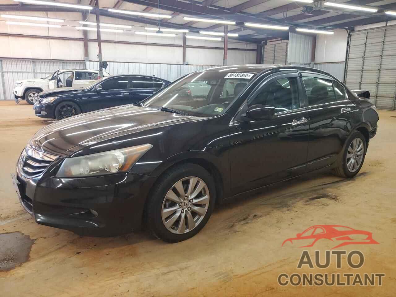 HONDA ACCORD 2011 - 1HGCP3F88BA022429