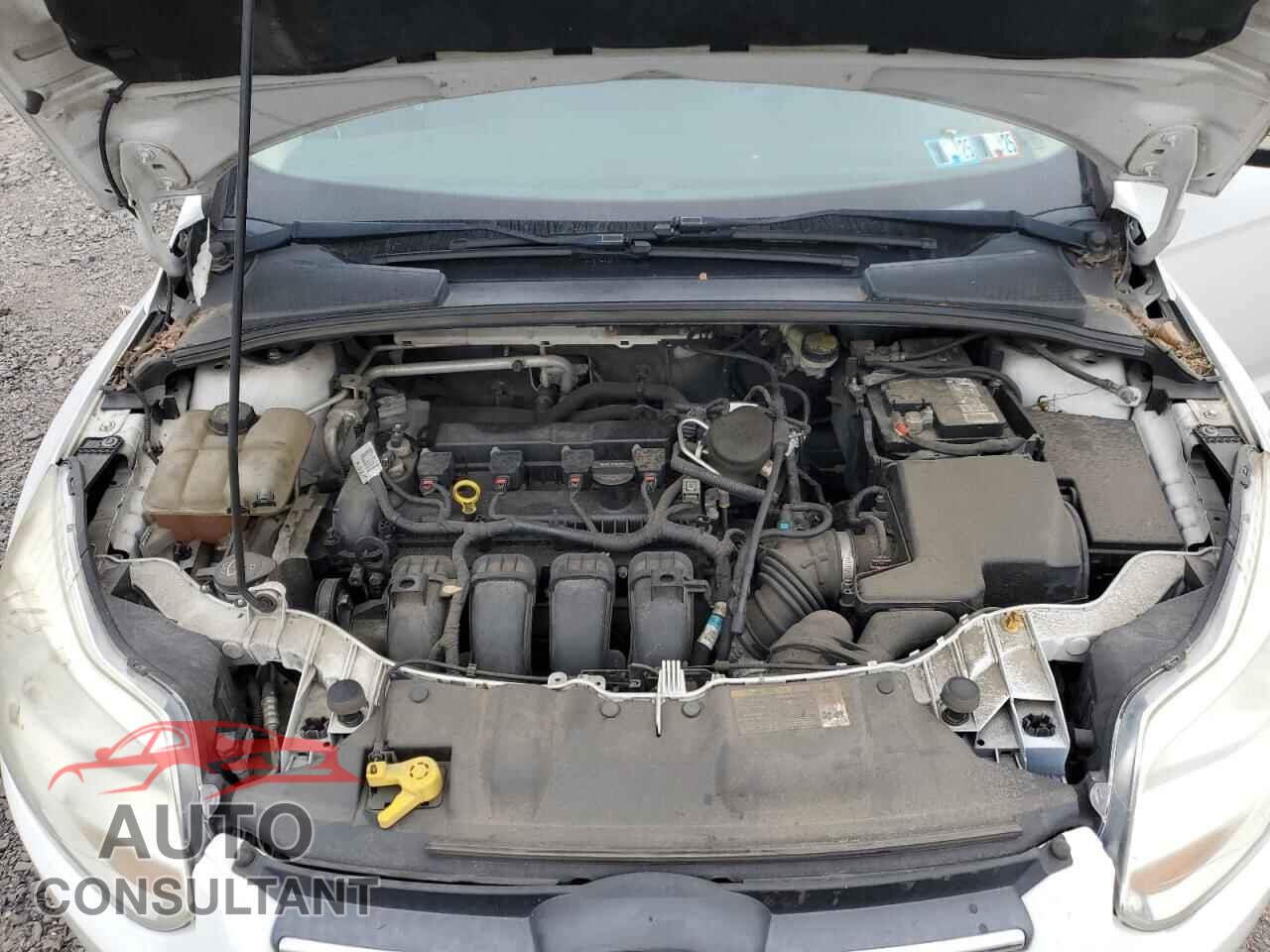 FORD FOCUS 2014 - 1FADP3F2XEL226839